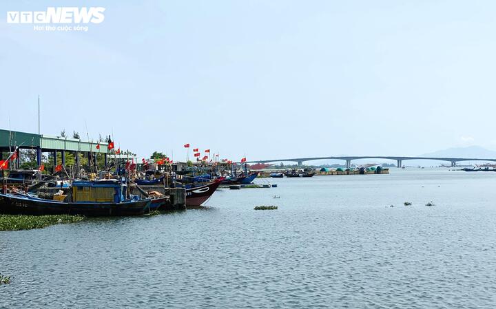 Vì sao cảng cá 120 tỷ ở Đà Nẵng xây xong 'chỉ để ngắm'? - Ảnh 2