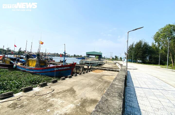 Vì sao cảng cá 120 tỷ ở Đà Nẵng xây xong 'chỉ để ngắm'? - Ảnh 3