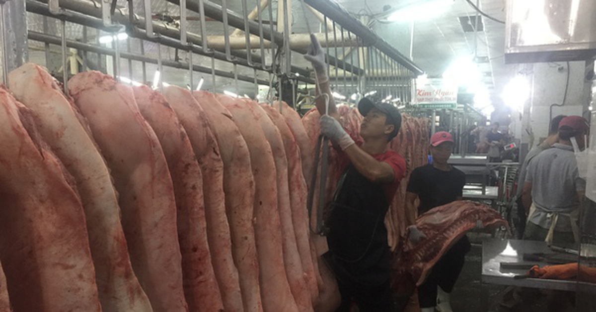 Giá heo hơi hôm nay, 2-4: Giảm rất mạnh ở chợ đầu mối