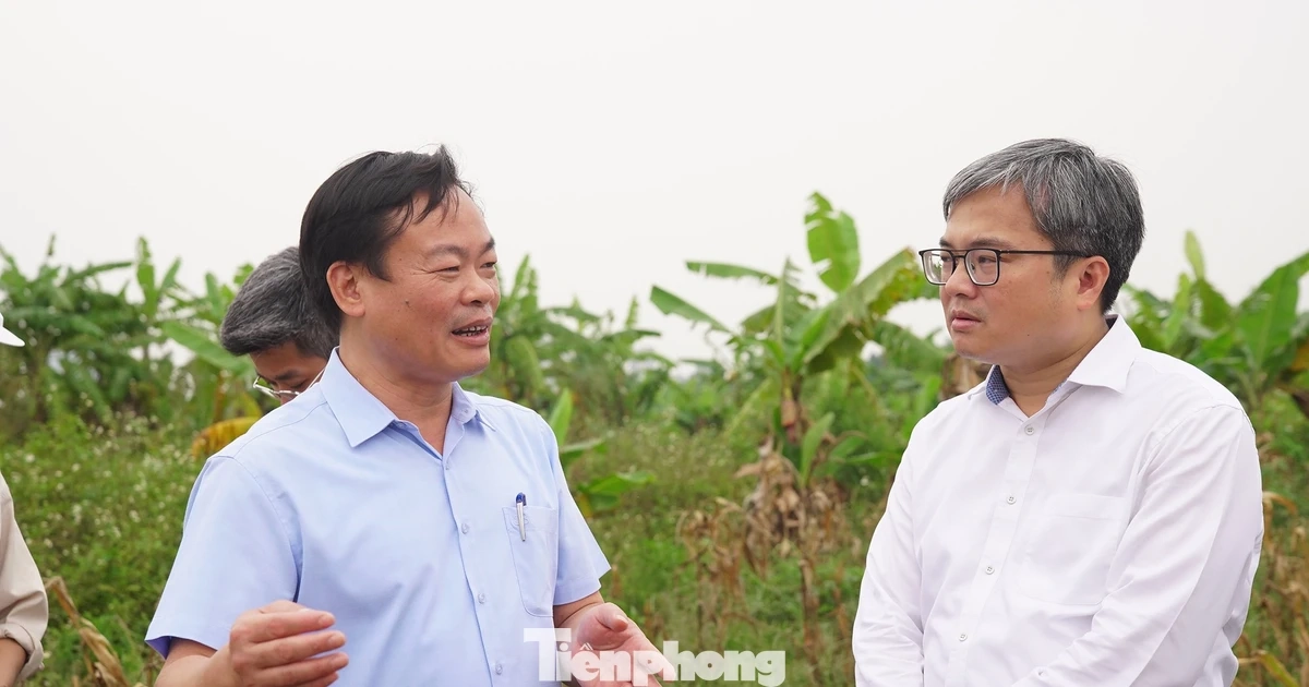 Lãnh đạo Hà Nội trực tiếp "vi hành", đề xuất chính sách đặc thù đẩy nhanh tiến độ cầu Tứ Liên