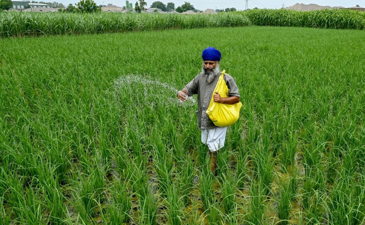 Giá mặt hàng quan trọng tăng sốc tới 83%, một quốc gia BRICS lập tức 'cầu cứu' từ Nga đến Việt Nam để nhập khẩu