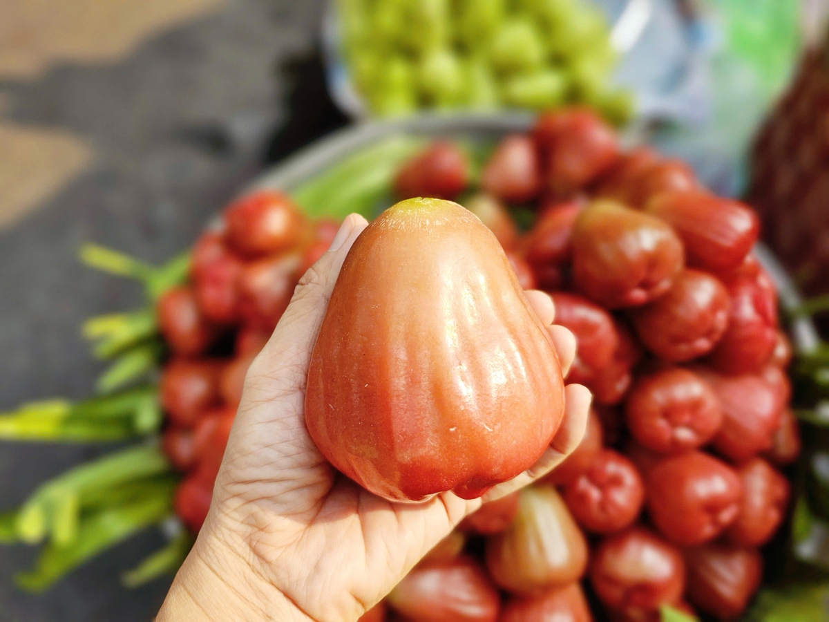 3-4 trái mận hồng giá 200.000 đồng, khách vẫn xuống tiền mua