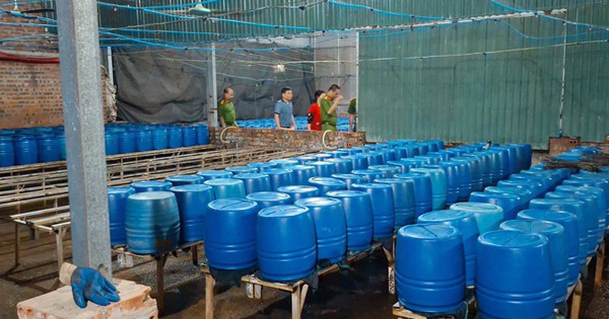 Sản xuất 510 tấn giá đỗ bằng chất độc 6-Benzylaminopurine bán cho người dân