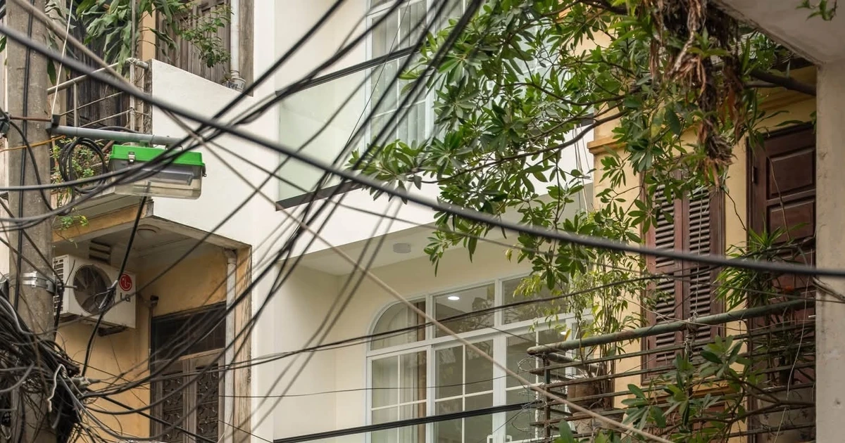 Những 'đường cong mềm mại' tạo dấu ấn cho nhà mặt ngõ