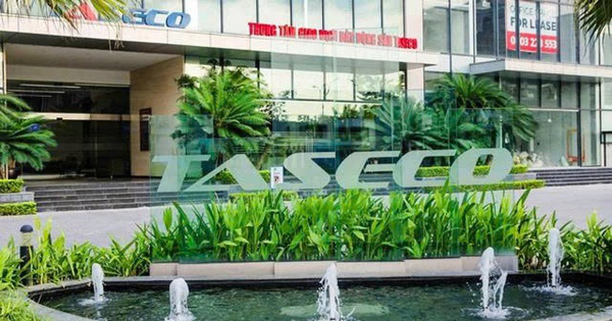 Taseco Land đặt mục tiêu lợi nhuận vượt 2.500 tỷ đồng, chia cổ tức tối đa 40%