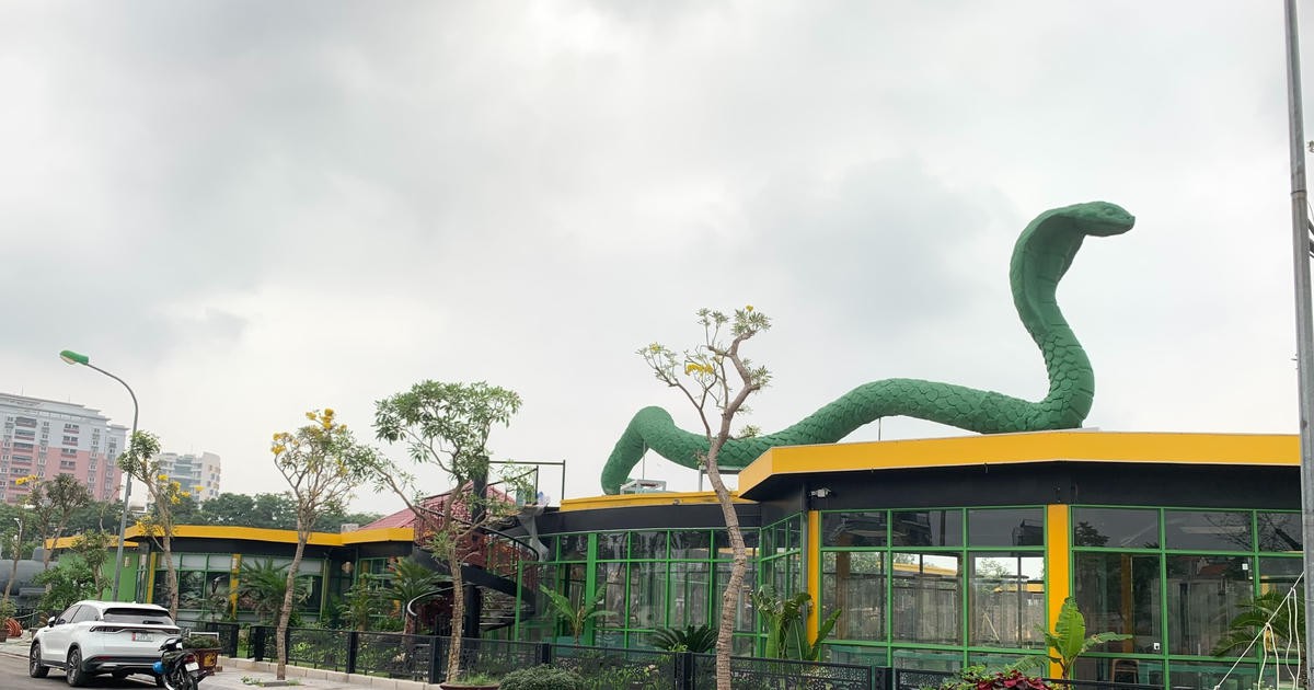 Hà Nội: Loạt công trình xây dựng trên diện tích gần 16.000m2 đất quy hoạch do phường Việt Hưng quản lý