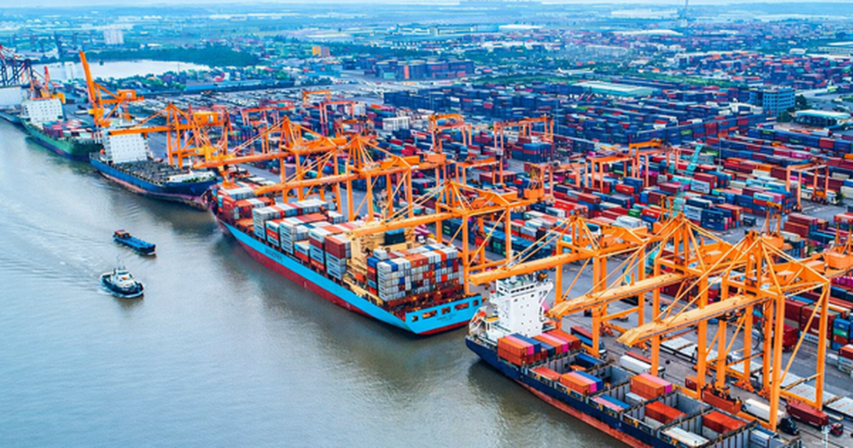 Việt Nam đón tin cực vui từ Mỹ và Trung Đông