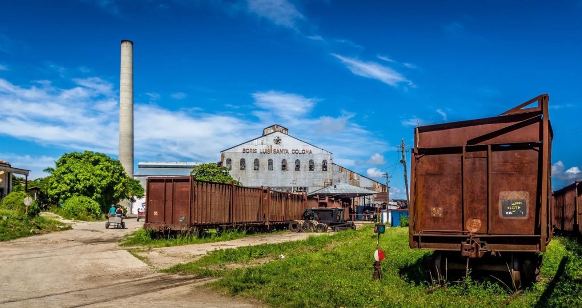 Từ 'Số 1 thế giới' đến phụ thuộc hàng nhập khẩu: Cuba tìm cách hồi sinh ngành công nghiệp xương sống