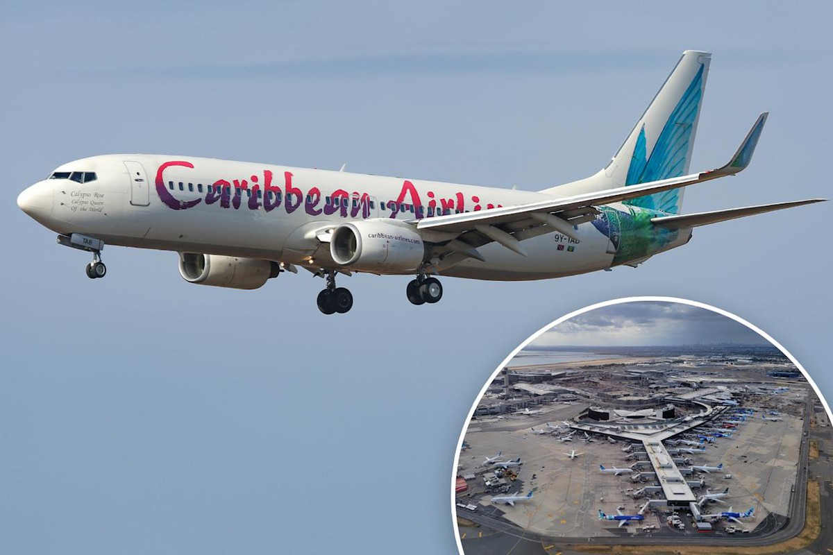 Một em bé vừa được sinh ra trên máy bay, không rõ mang quốc tịch gì