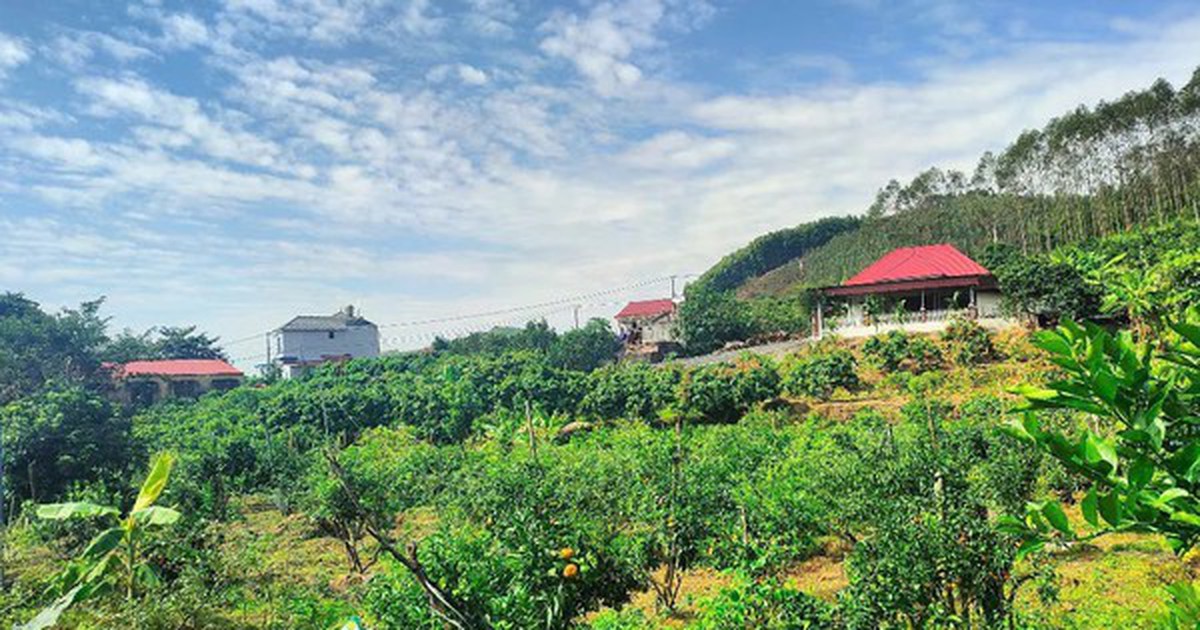 Loại đất và hạn mức công nhận đất ở sau sáp nhập