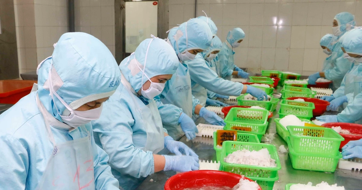 Doanh nghiệp xuất khẩu tôm 'cầu cứu'