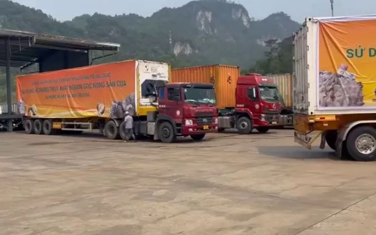 Xuất khẩu lô sầu riêng đầu tiên nhờ thông quan luồng xanh