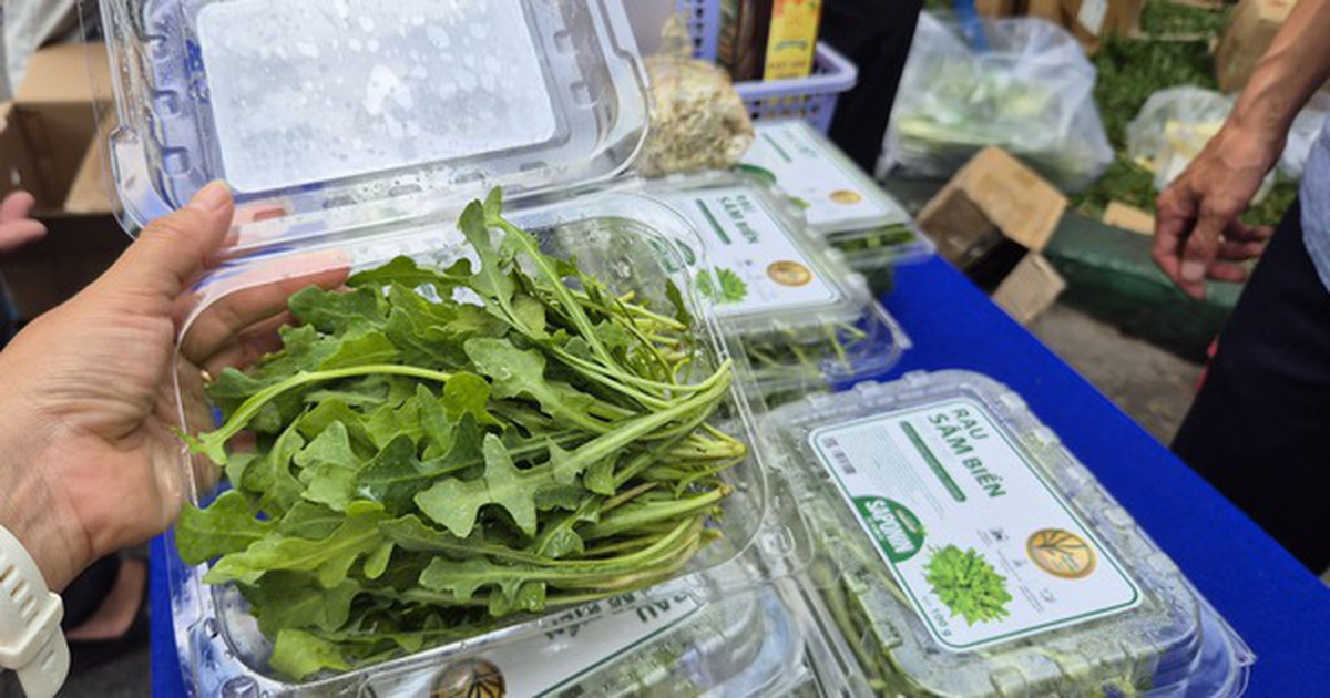Bất ngờ về loại rau 350.000 đồng/kg vẫn được người ở TP.HCM xem là “rẻ”