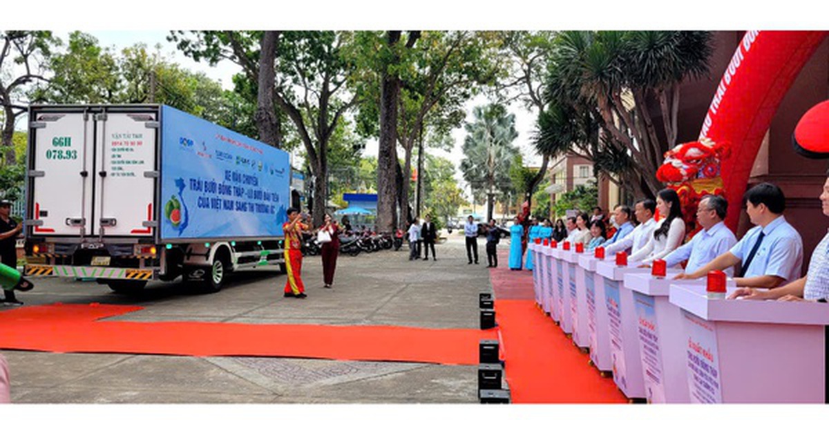 Đồng Tháp xuất khẩu lô bưởi đầu tiên sang Úc