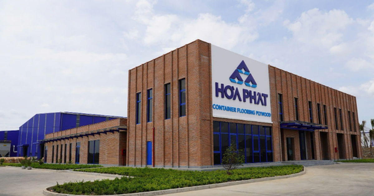 Con trai Chủ tịch Trần Đình Long gom thêm hàng chục triệu cổ phiếu HPG