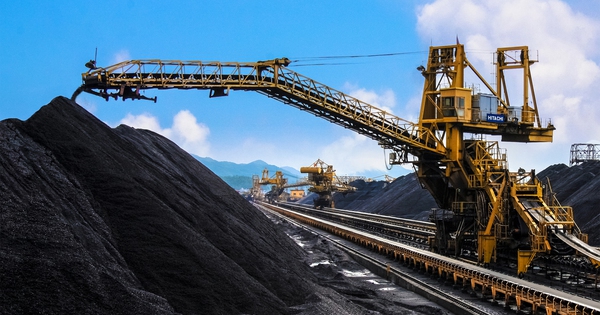 'Kim cương đen' của Việt Nam lên ngôi giữa 'cơn khát' năng lượng - Tăng mạnh hơn 100% về lượng, Nhật Bản, Indonesia tranh mua - Ảnh 1