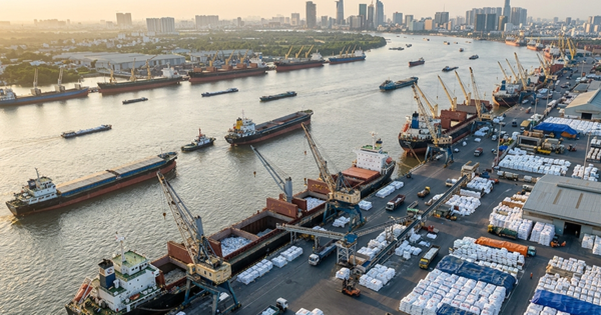 77 tàu cập cảng mang theo hơn nửa triệu tấn mặt hàng xuất khẩu chiến lược: 2 nước láng giềng mang tin vui lớn cho Việt Nam