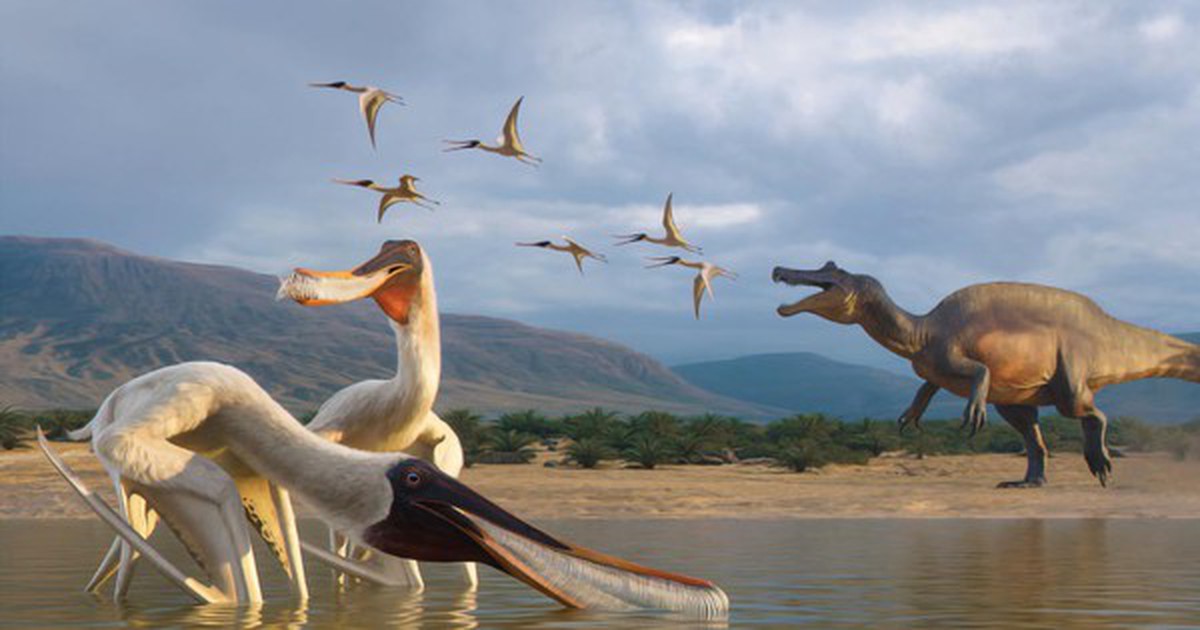 Quái vật thế giới chưa từng biết "trỗi dậy" từ khối đá trong bảo tàng