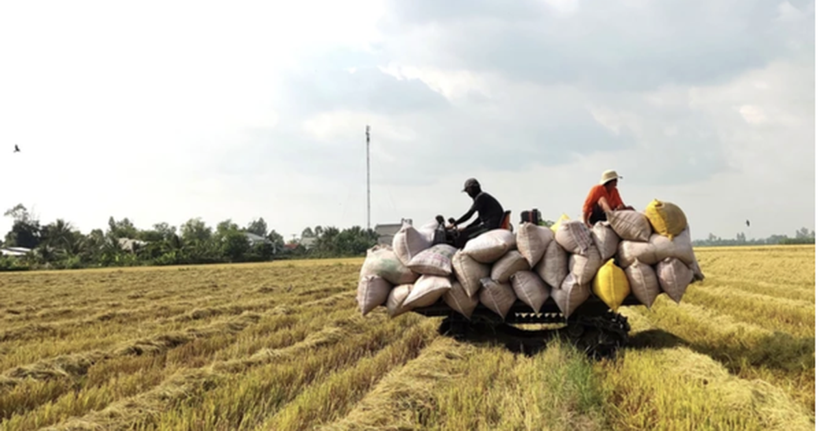 Giá xăng dầu điều chỉnh nhưng nhiều dịch vụ lại không giảm tương ứng