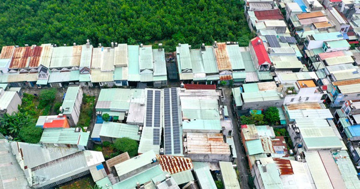 Cận cảnh hàng chục căn nhà “mọc” trên đất người khác ở TPHCM và nỗi lòng người lỡ mua