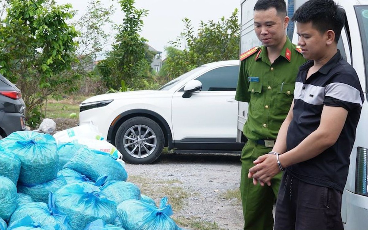 Đột kích xưởng sản xuất giá đỗ sử dụng chất cấm tại Quảng Ninh, thu giữ 4 tấn hàng