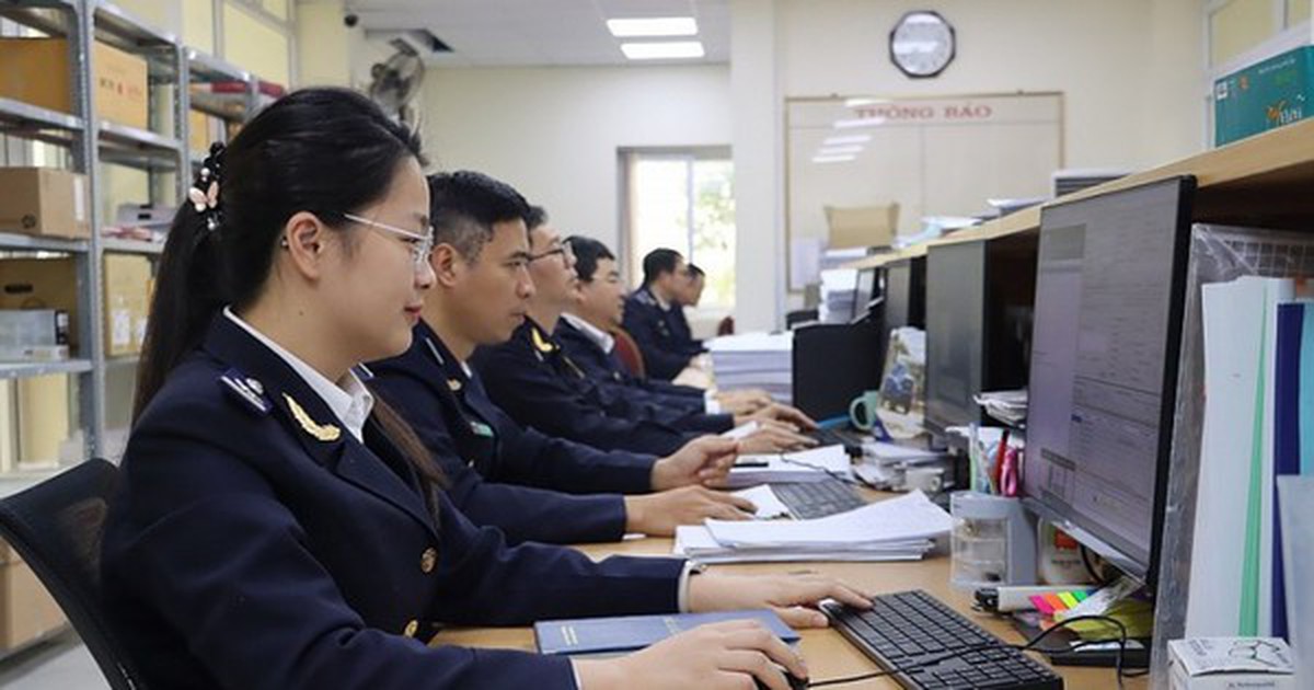 Hải quan ra công văn 'khẩn', bảo đảm thông suốt xuất nhập khẩu khi hệ thống tạm dừng