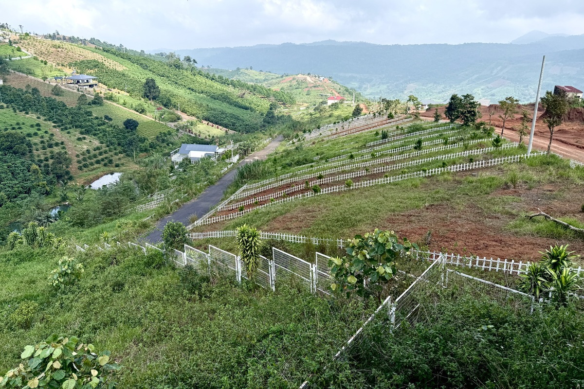 Đất nền phân lô 'chôn vốn' 4 năm, rao bán cắt lỗ không ai mua