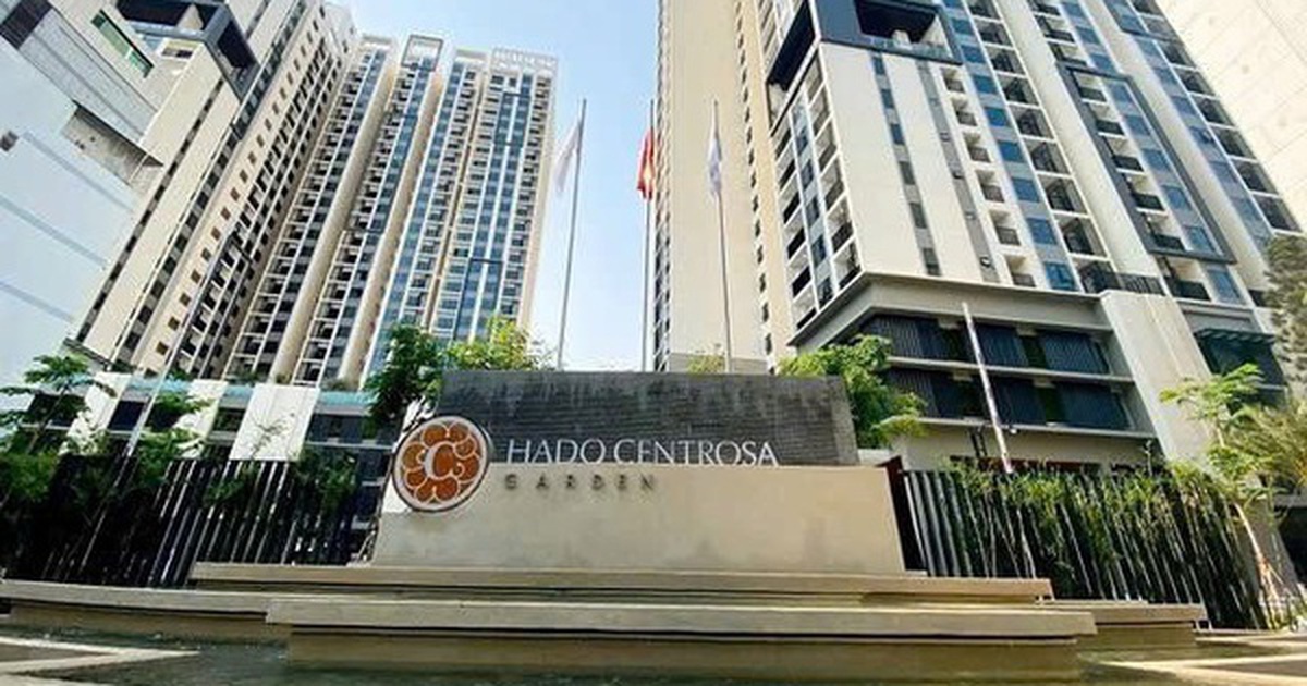 Người thân Tổng giám đốc Hà Đô không mua hết 5 triệu cổ phiếu như đăng ký