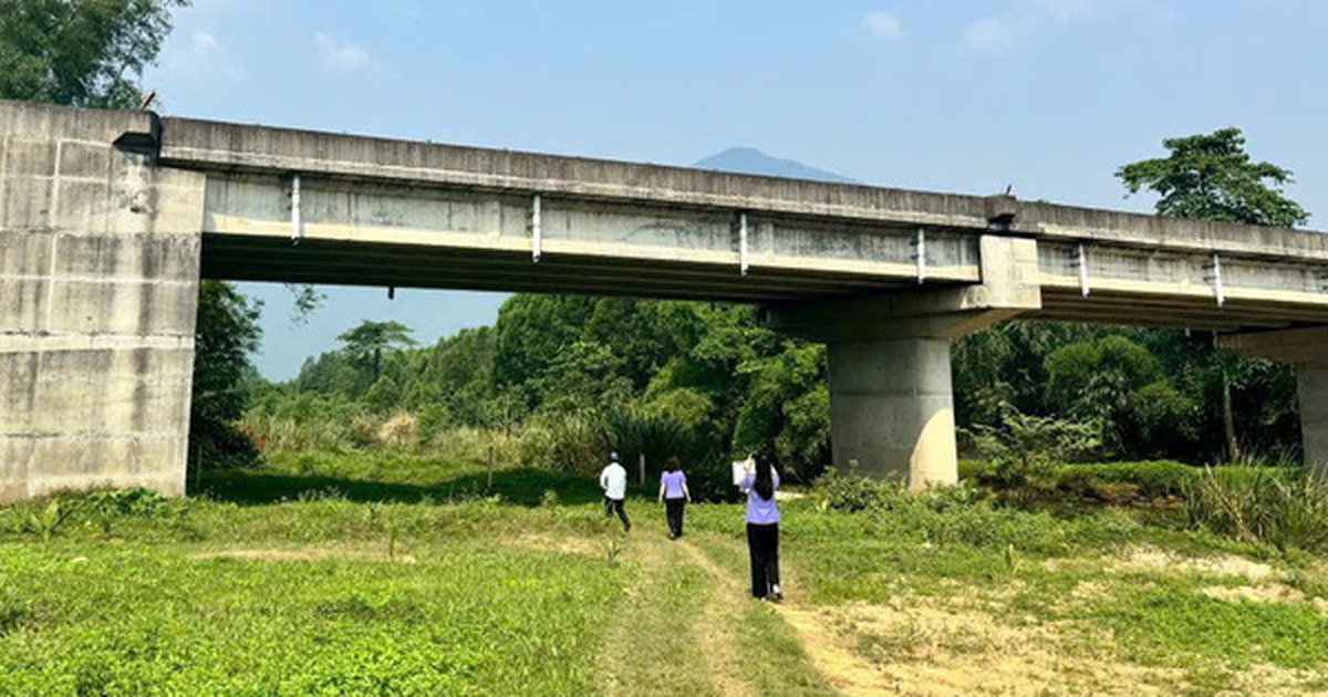 Ba cây cầu xây xong chưa có đường dẫn, Viện kiểm sát ở Đà Nẵng vào cuộc