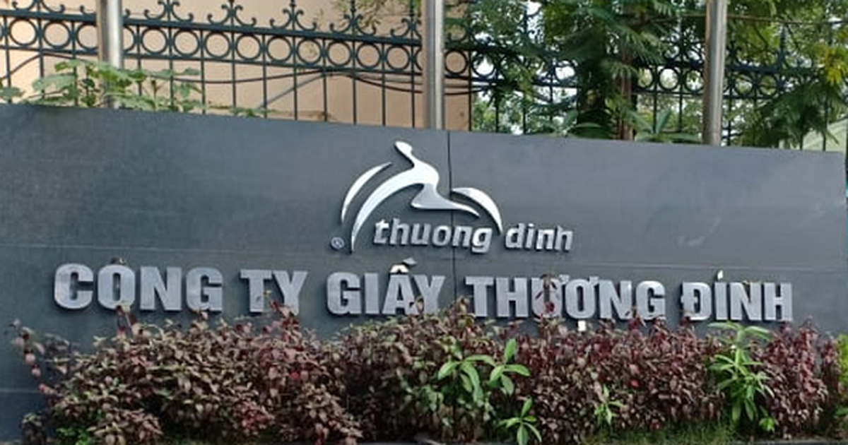 Vinaconex tính mua cổ phần của Giầy Thượng Đình