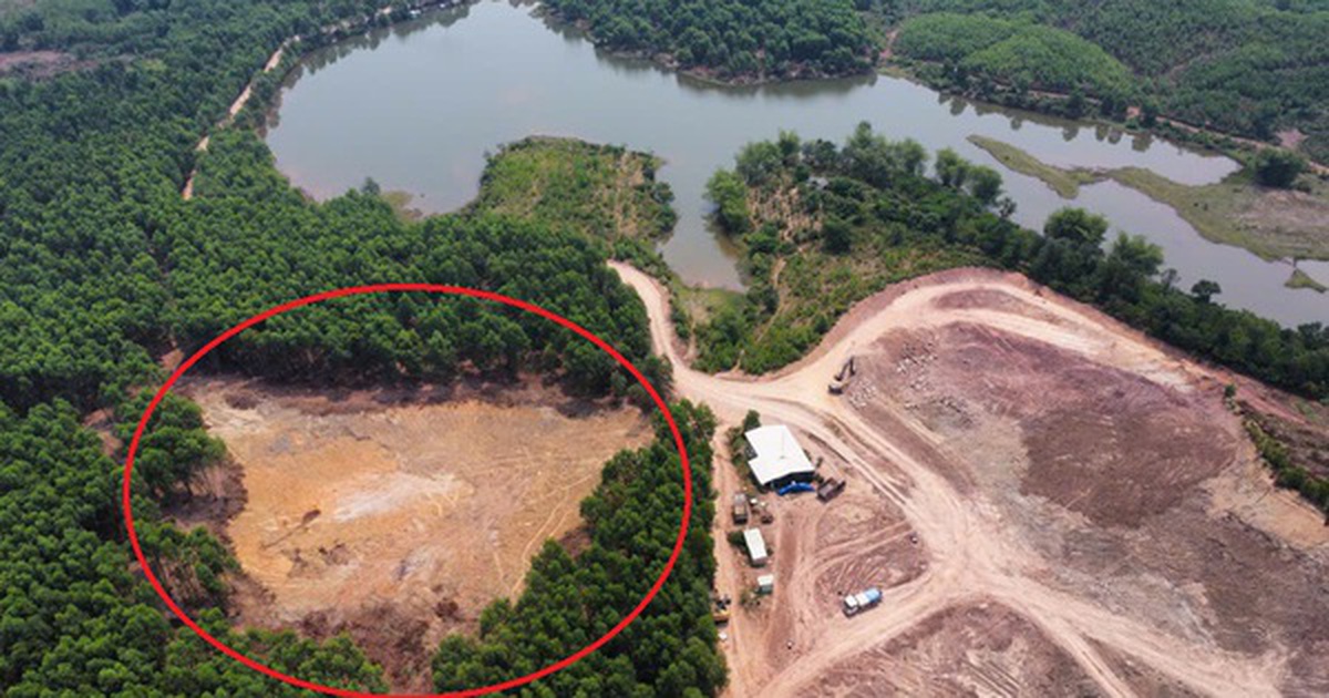 "Đất tặc" ở Đà Nẵng bị phạt, tịch thu gần nửa tỉ đồng