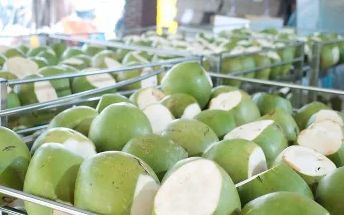 Dừa tươi tăng giá gấp 3 lần