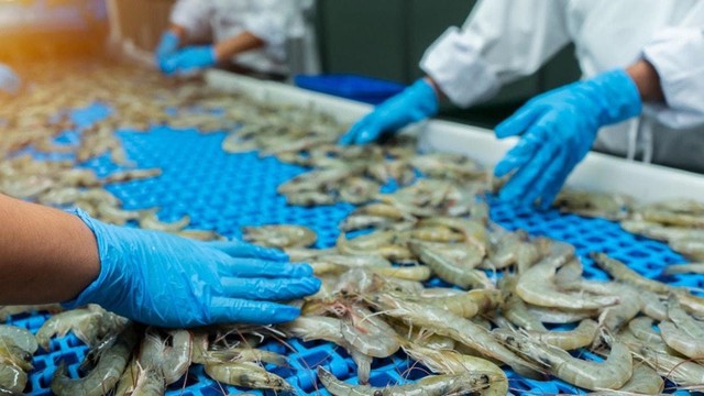 Ngành tôm đối mặt nhiều thách thức - Ảnh 1