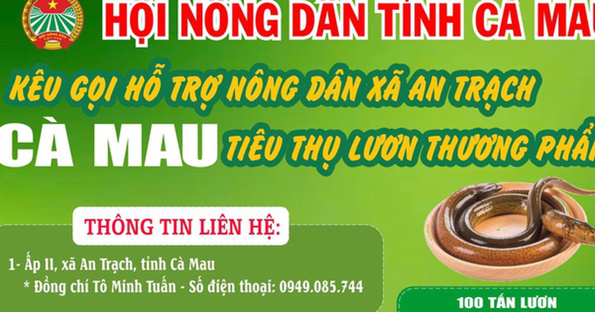 Cà Mau kêu gọi "giải cứu" lươn với giá 60.000 đồng/kg