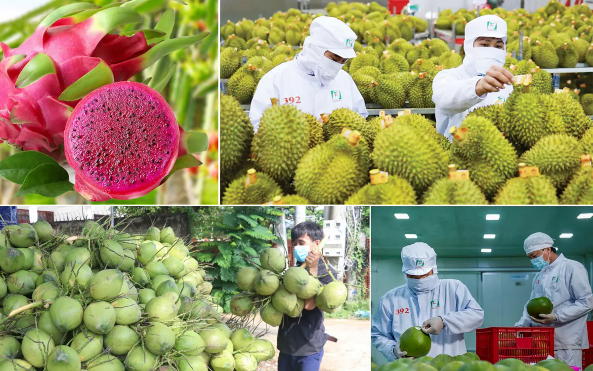 Ngành rau quả tự tin mục tiêu 10 tỷ USD xuất khẩu