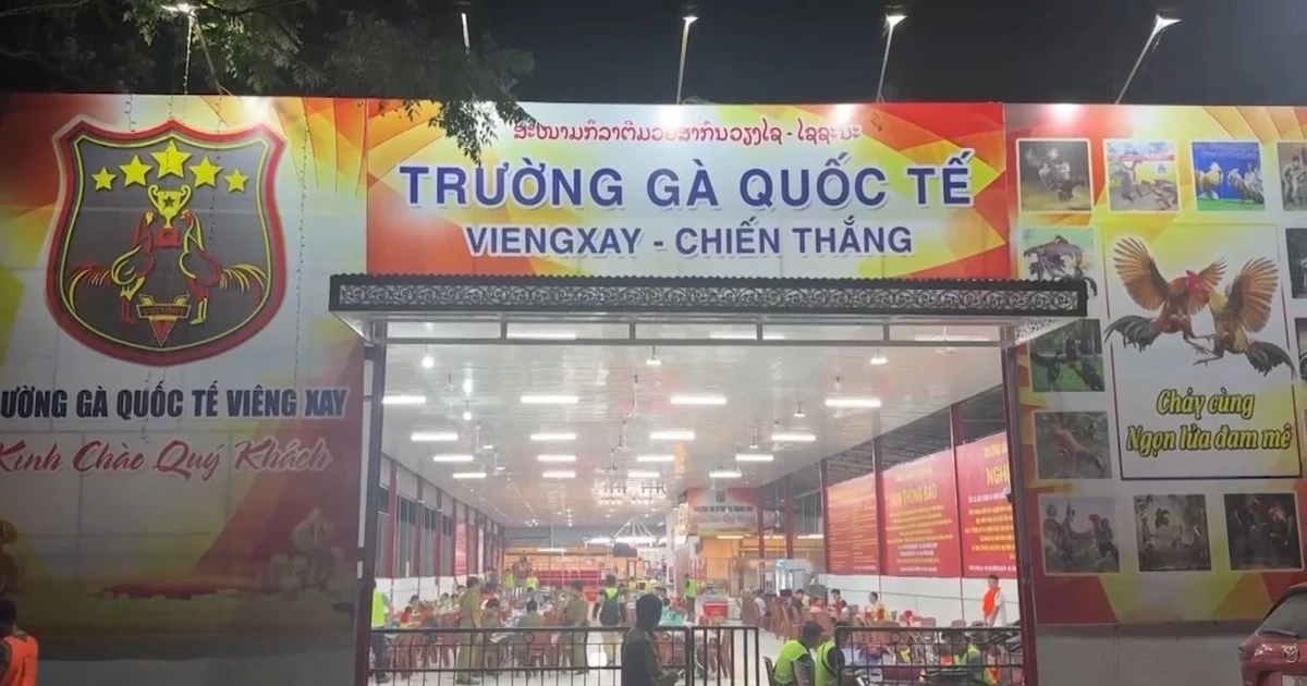 Triệt phá đường dây đá gà xuyên quốc gia, giao dịch hơn 1.200 tỷ đồng trong gần 1 tháng