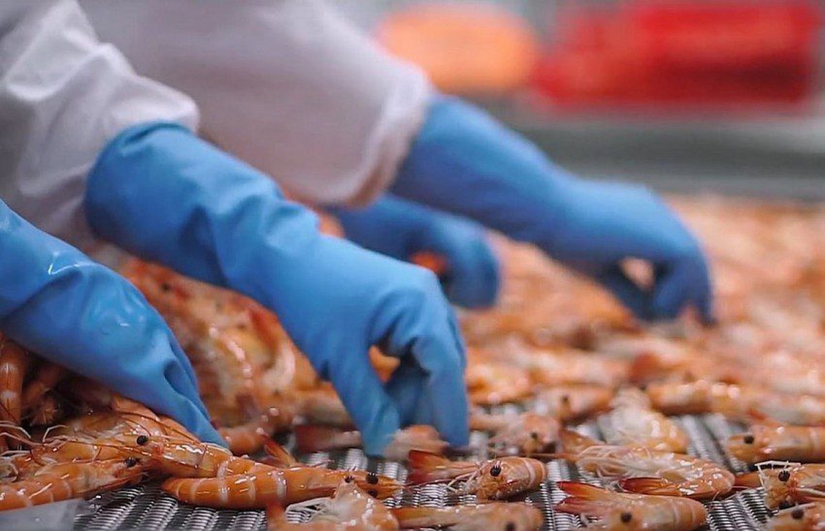 Việt Nam làm chủ công nghệ có thể gia tăng sức mạnh cho ngành xuất khẩu tỷ USD