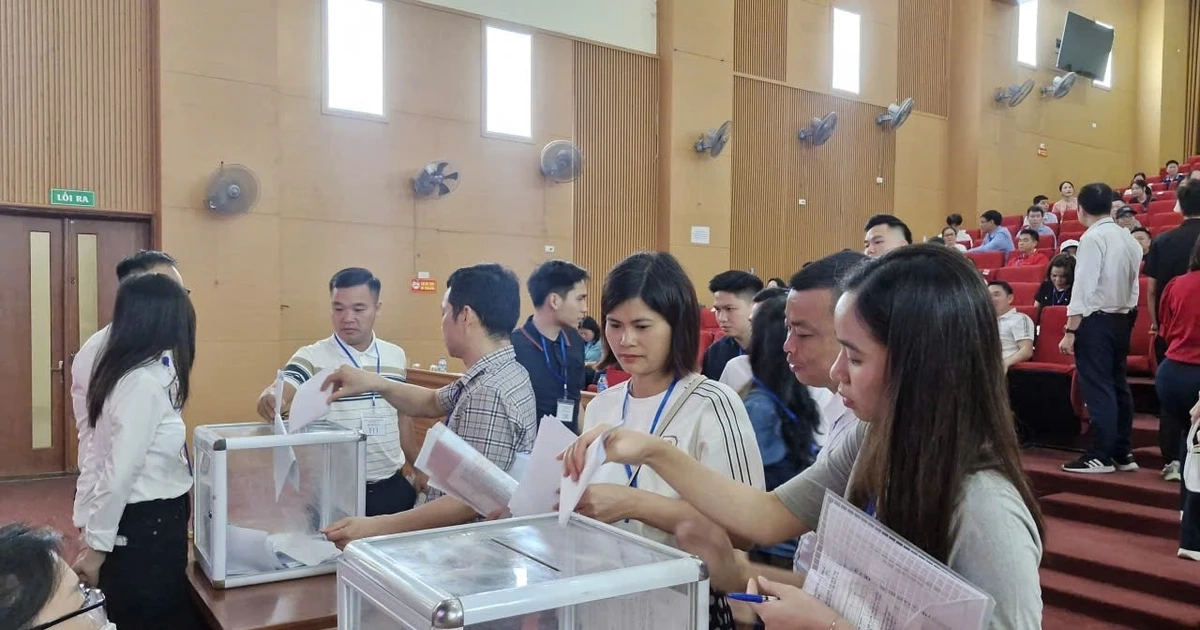 Hà Nội: 17 lô đất ở xã Quốc Oai được đấu giá thành công từ 84 - 125 triệu đồng/m2