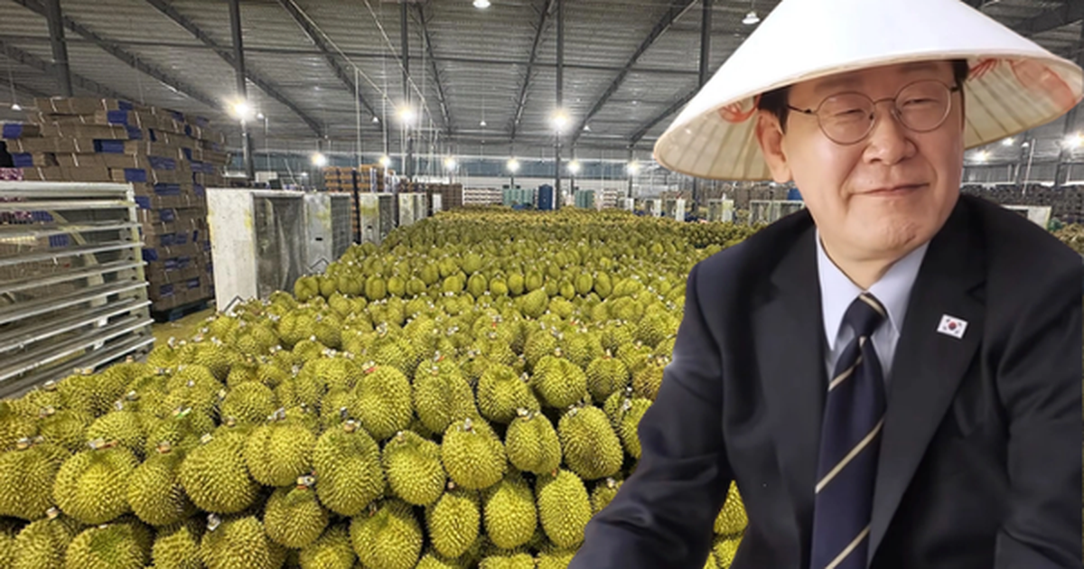 Loại quả của Việt Nam khiến Tổng thống Hàn Quốc ăn không ngừng, xuýt xoa khen ngon - Xuất khẩu sang xứ sở kim chi tăng khủng 300%