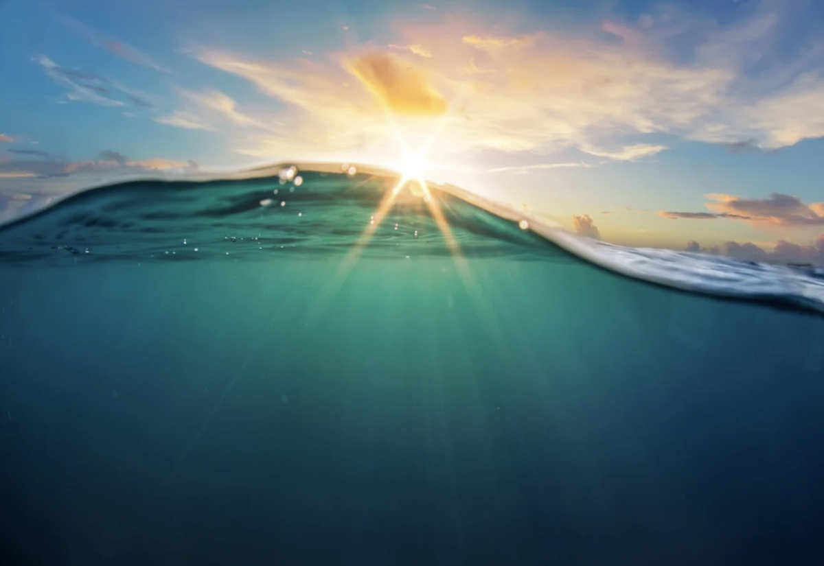 Trung Quốc lại khiến thế giới choáng ngợp: Tuyên bố đã tạo ra vật liệu dạng xốp, nhỏ hơn sợi tóc, biết đi săn ‘kho báu’ dưới nước