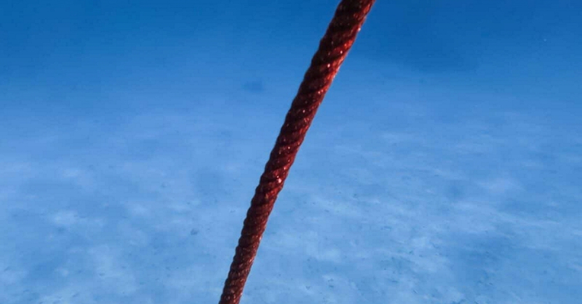 Thả một sợi cáp dài 10 km xuống đáy biển, các nhà khoa học phát hiện 56.000 tín hiệu lạ chỉ trong 21 ngày