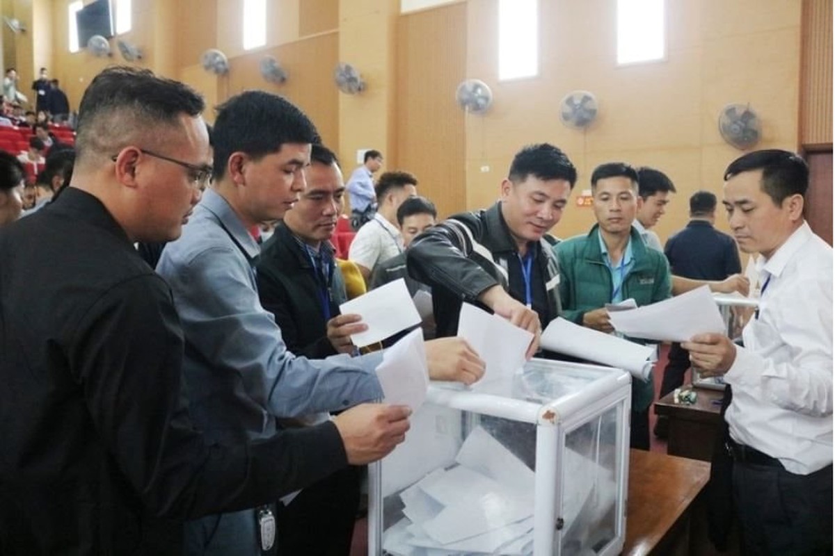 Đấu giá đất tại xã Quốc Oai (Hà Nội) giá trúng cao nhất gấp 9 lần khởi điểm