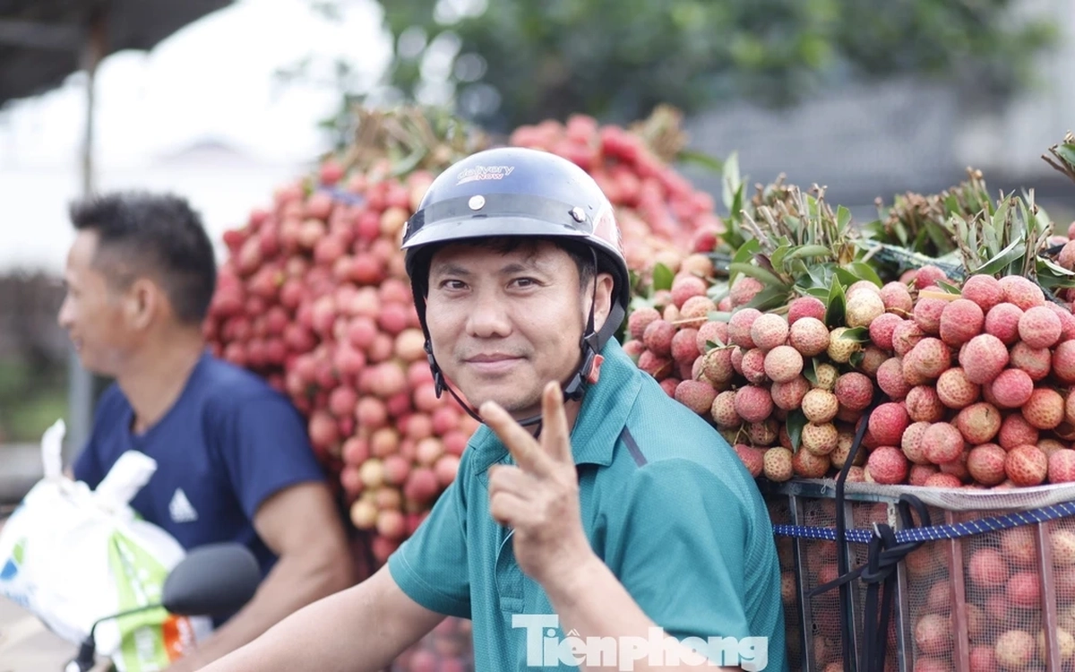 Vải thiều Bắc Ninh sắp vào vụ, doanh nghiệp đổ về 'chốt đơn'