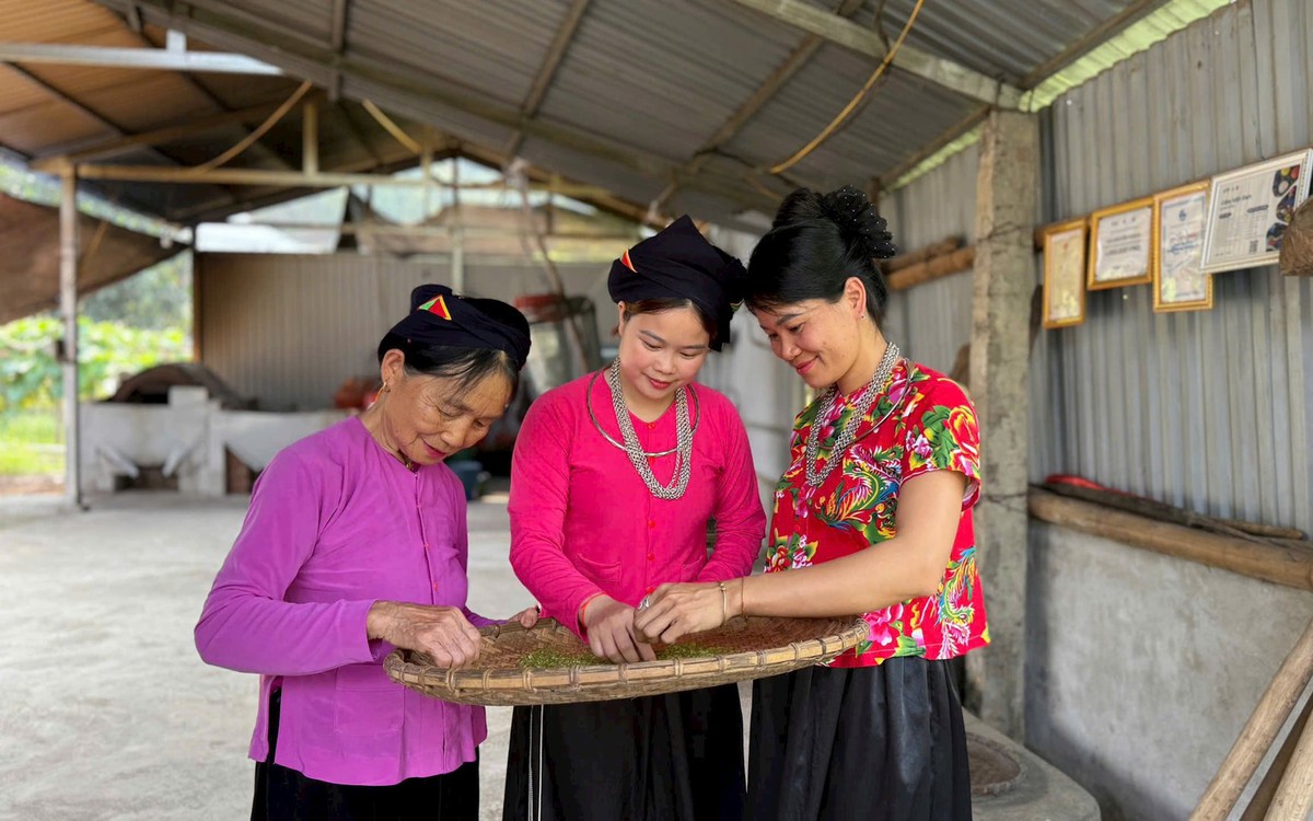 Phụ nữ vùng cao và bước chuyển từ “làm theo kinh nghiệm” đến “làm chủ sinh kế”
