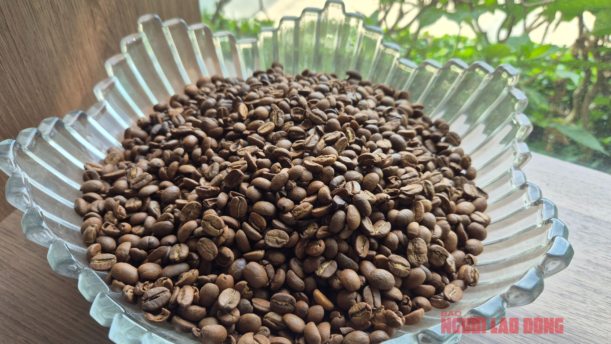 Giá cà phê hôm nay 8-4: Cả hai sàn đỏ lửa, Robusta xuống đáy 8 tháng - Ảnh 1