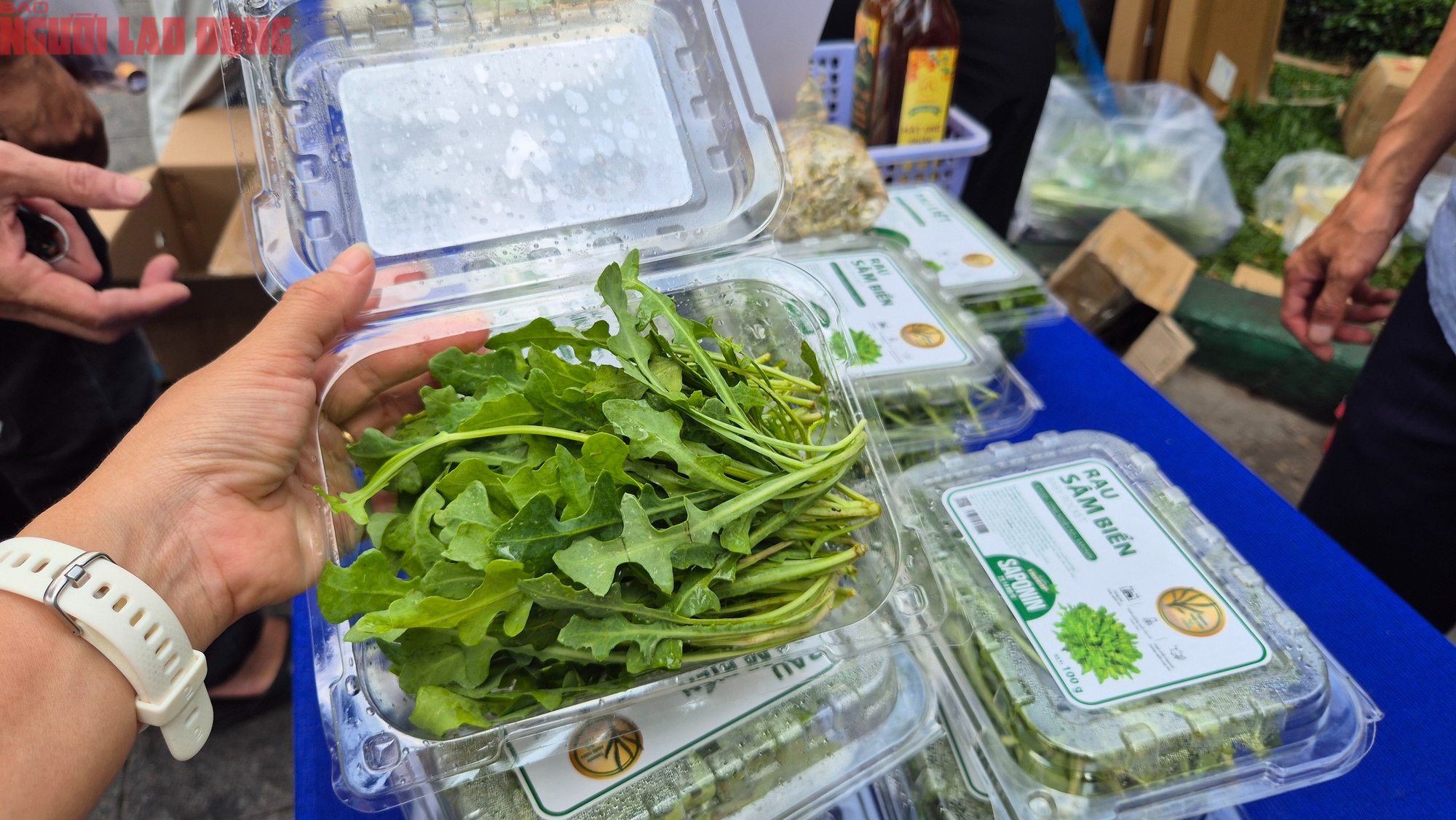 Bất ngờ về loại rau 350.000 đồng/kg vẫn được người ở TP.HCM xem là “rẻ” - Ảnh 1