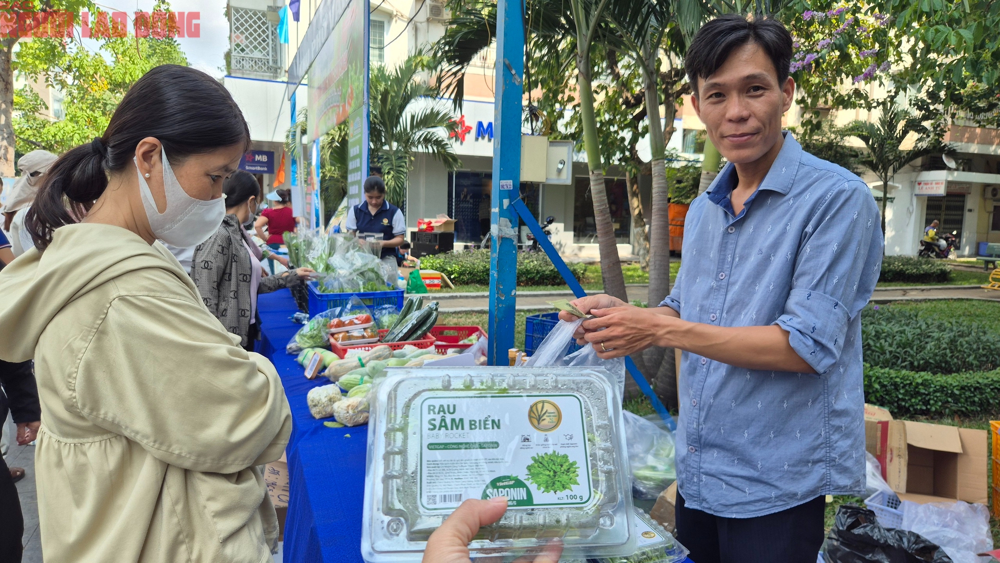 Bất ngờ về loại rau 350.000 đồng/kg vẫn được người ở TP.HCM xem là “rẻ” - Ảnh 2