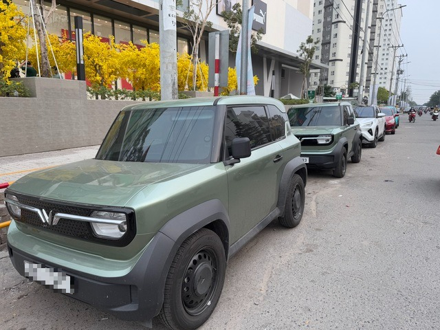 Vì sao Bộ Tài chính đề xuất gia hạn ưu đãi thuế với xe điện đến hết năm 2030? - Ảnh 1