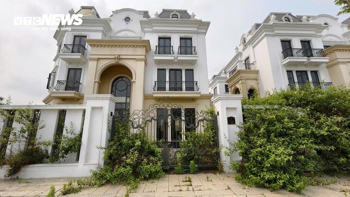 Phố đi bộ nghìn tỷ ở Bắc Ninh đìu hiu, biệt thự bỏ hoang cho cỏ mọc - Ảnh 2