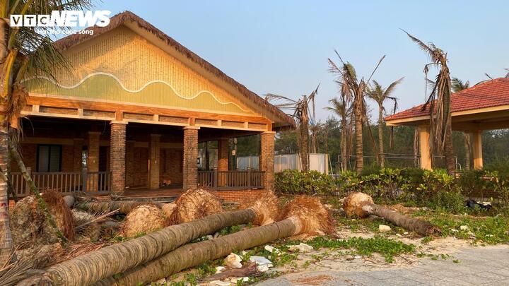 Dân ven biển Quảng Trị tiếc nuối nhìn dự án bãi tắm gần 260 tỷ 'đắp chiếu' - Ảnh 6